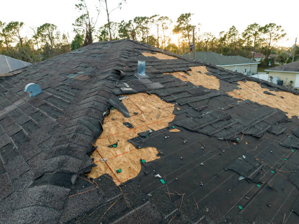 Best Storm Damage Roof Repair  in Clementon, NJ